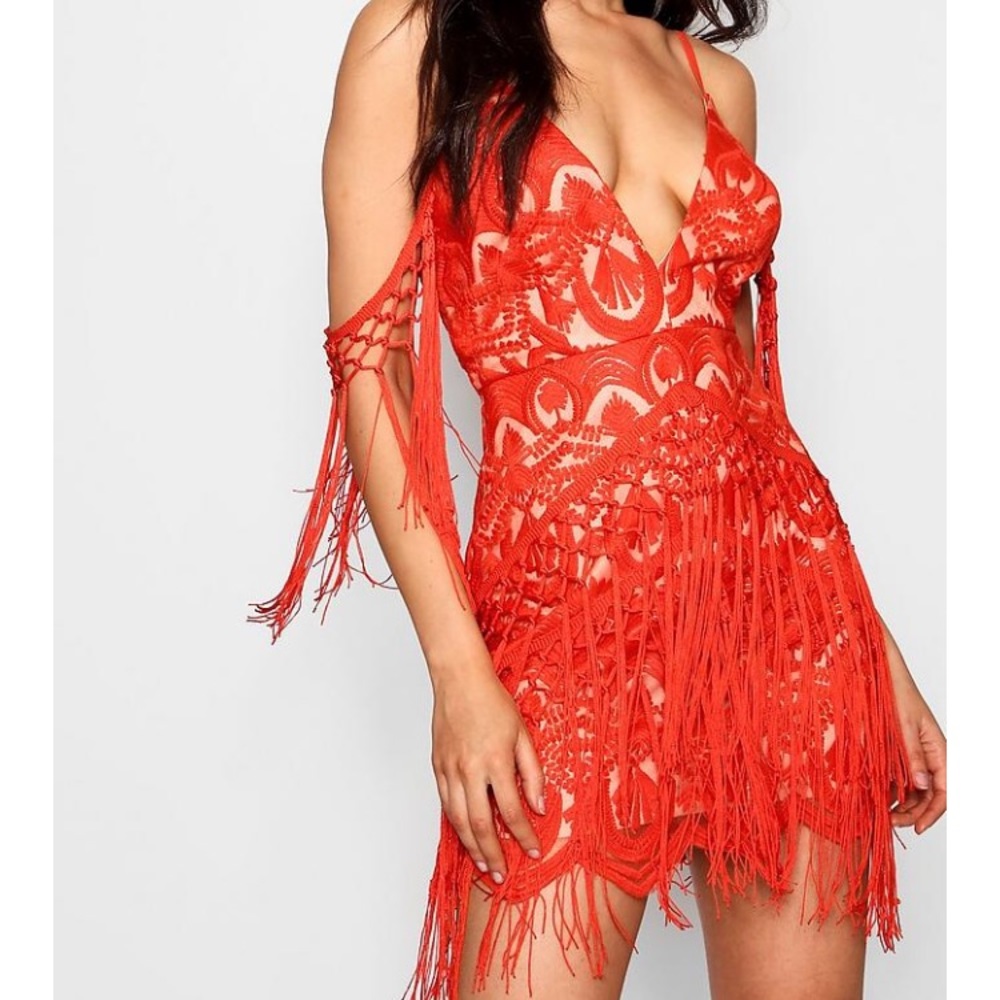 Bodycon Embroidered Fringe Dress